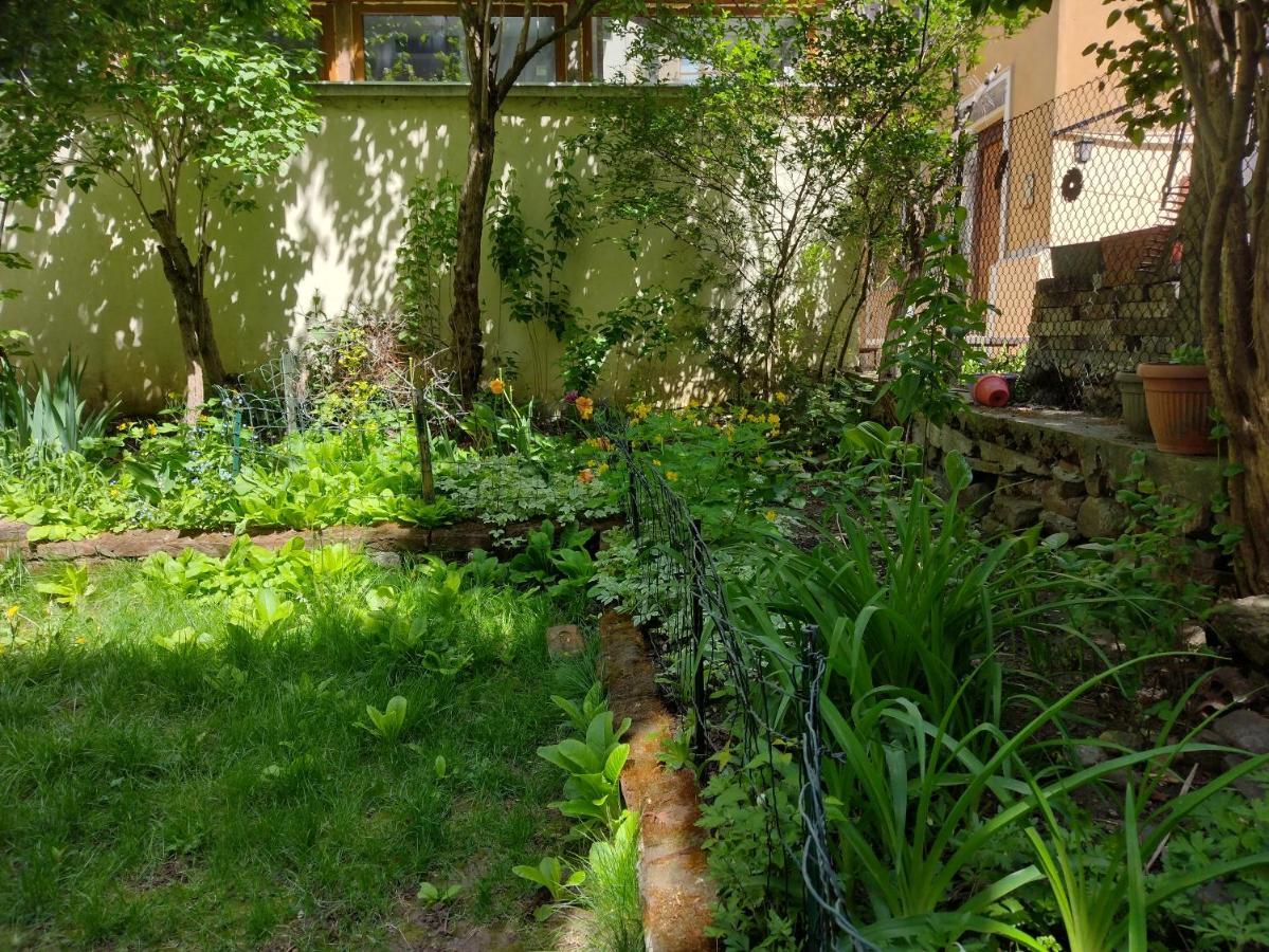 Charming Central Home With Garden Near Parking And Ndk 소피아 외부 사진