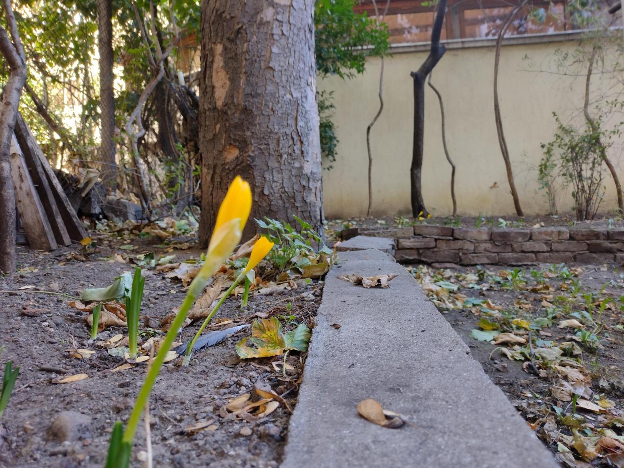 Charming Central Home With Garden Near Parking And Ndk 소피아 외부 사진
